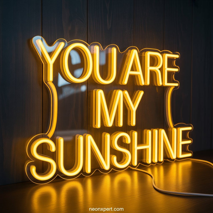 You Are My Sunshine Neon Sign Decor - NeonXpertSmallWhite