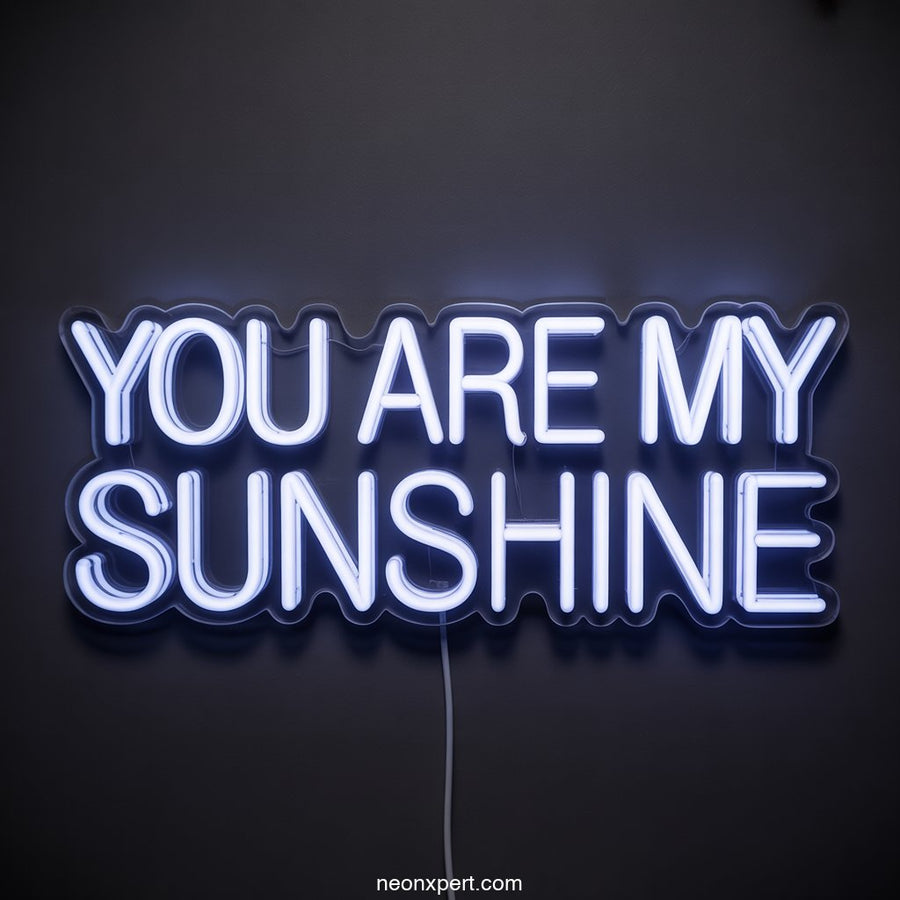 You Are My Sunshine LED Neon Sign Art Decor