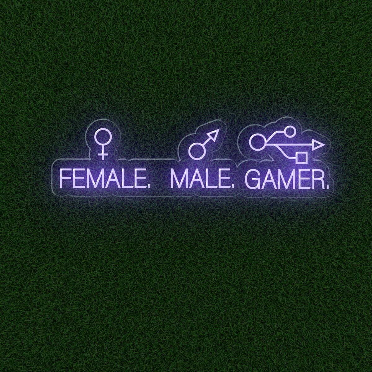 Male Female Gamer - Funny Game Room Neon Sign - NEONXPERT