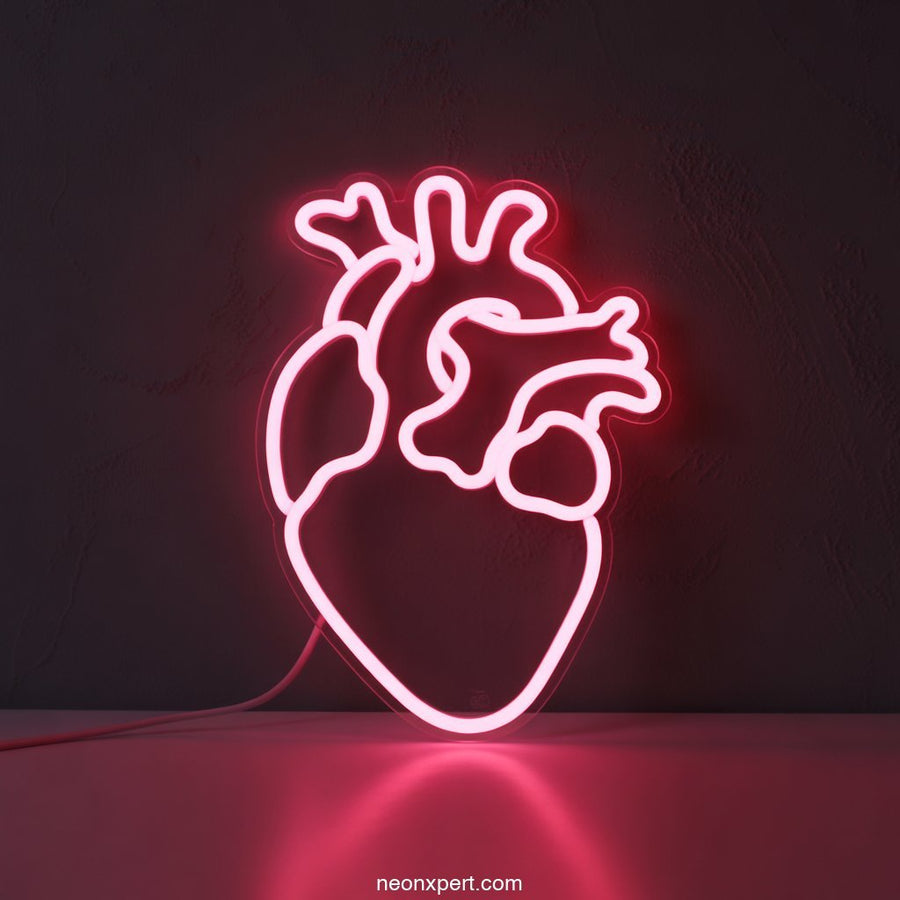 Anatomical Heart Neon Sign LED Neon Art Neon Light - NeonXpertSmallWhite