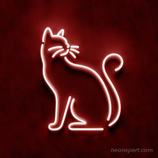 Cat Neon Sign - NeonXpert