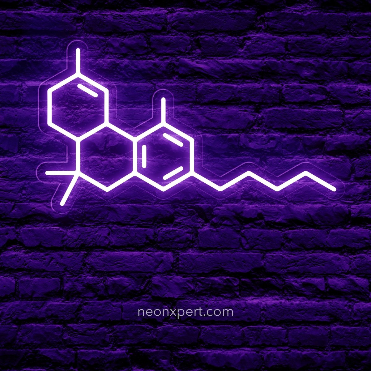 THC Molecule Neon Sign | Unique Weed Smoker Gift - NeonXpert12 x 8 in (USB)Purple