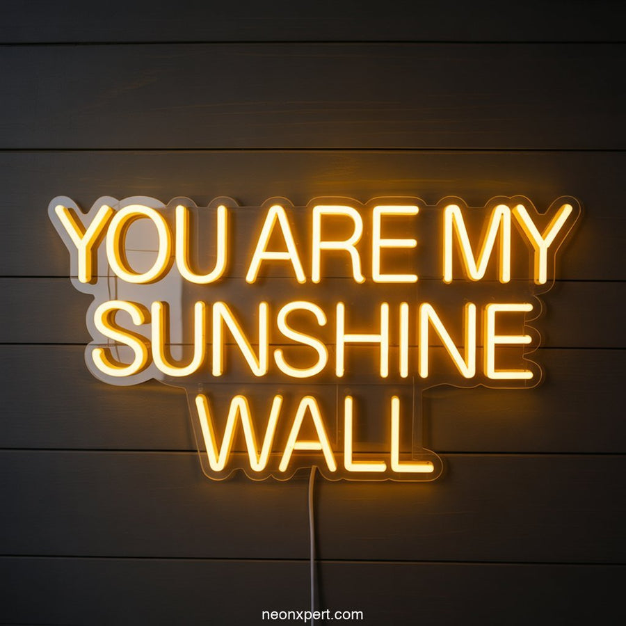 You Are My Sunshine Neon Sign for Home Decor - NeonXpertSmallWhite