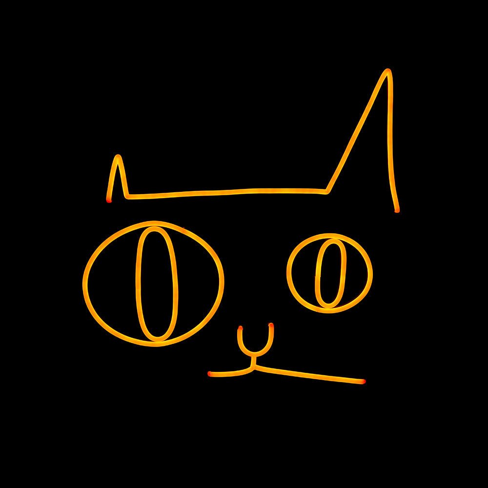 Custom Cat Led Neon Sign - NeonXpert