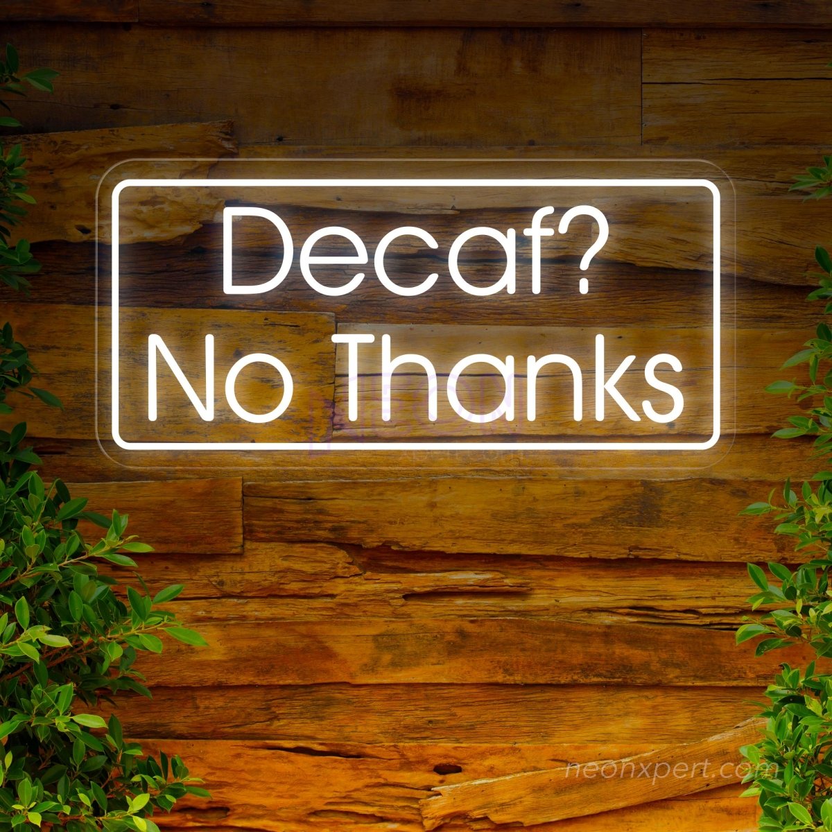 Decaf? No Thanks! Coffee LED Neon Sign - NeonXpert