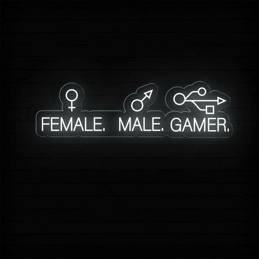 Male Female Gamer - Funny Game Room Neon Sign - NEONXPERT