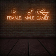 Male Female Gamer - Funny Game Room Neon Sign - NEONXPERT