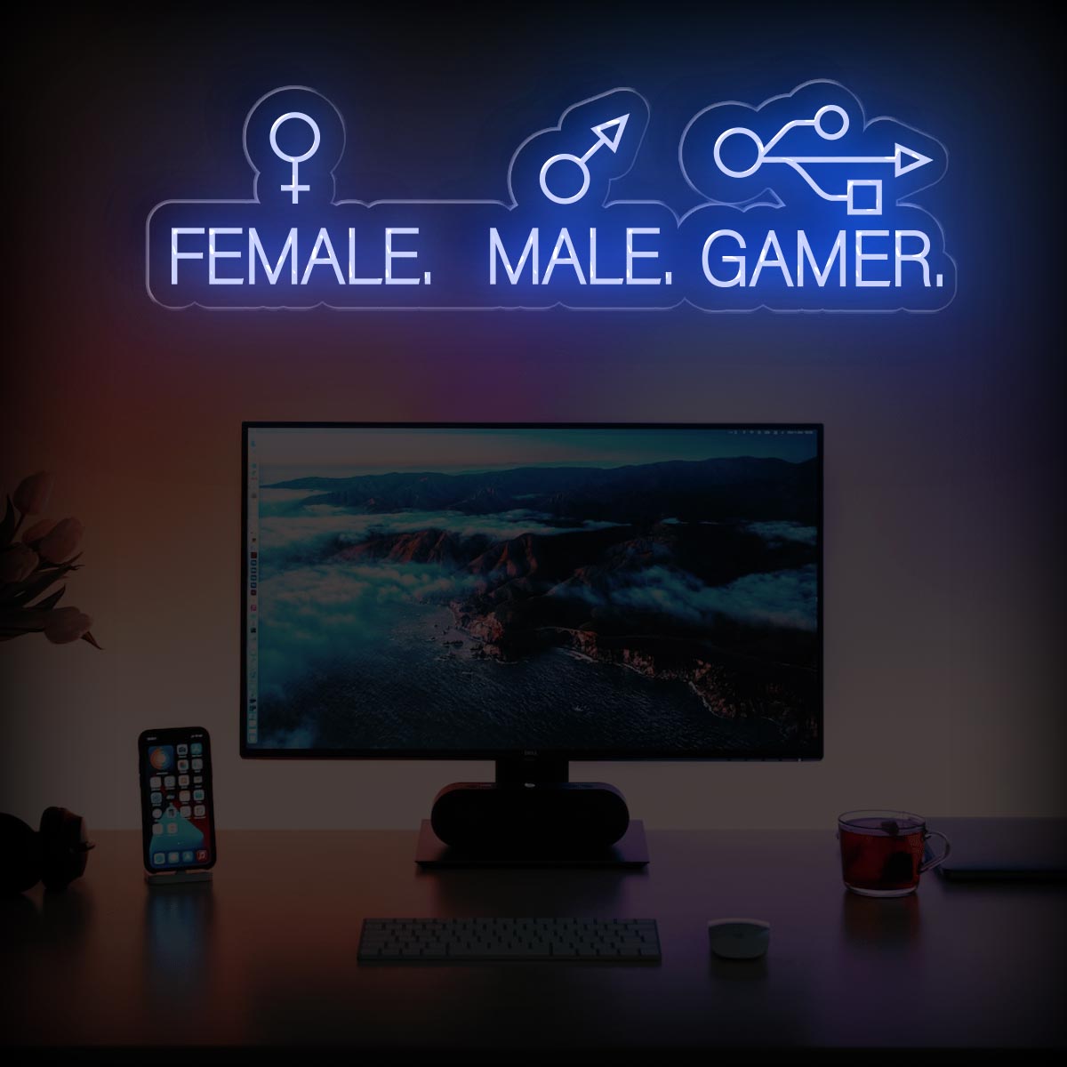 Male Female Gamer - Funny Game Room Neon Sign - NEONXPERT