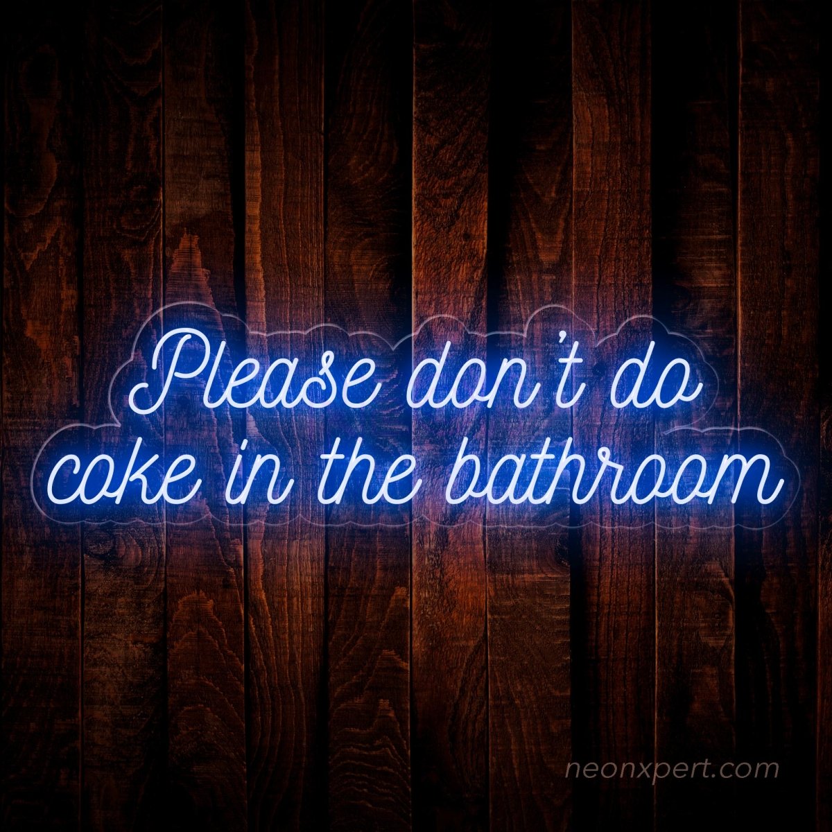 Please Don't Do Coke in the Bathroom Neon Sign - Quirky Decor | LED Humor - NeonXpert