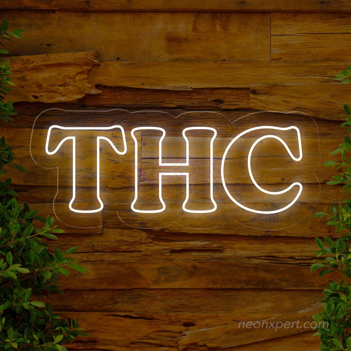 THC Led Neon Light up sign - NeonXpert